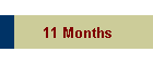 11 Months