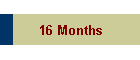 16 Months