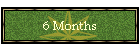 6 Months