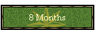 8 Months